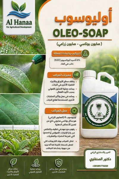 أوليوسوب