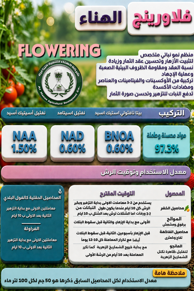 فلاورينج الهناء 