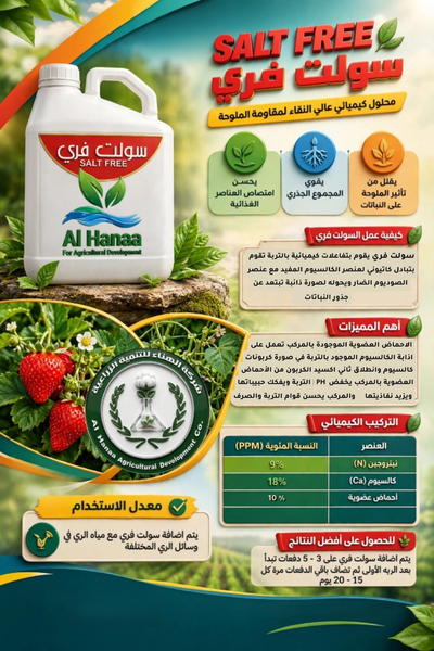 سولت فري