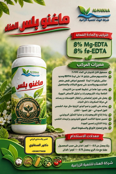 ماغنو بلس 