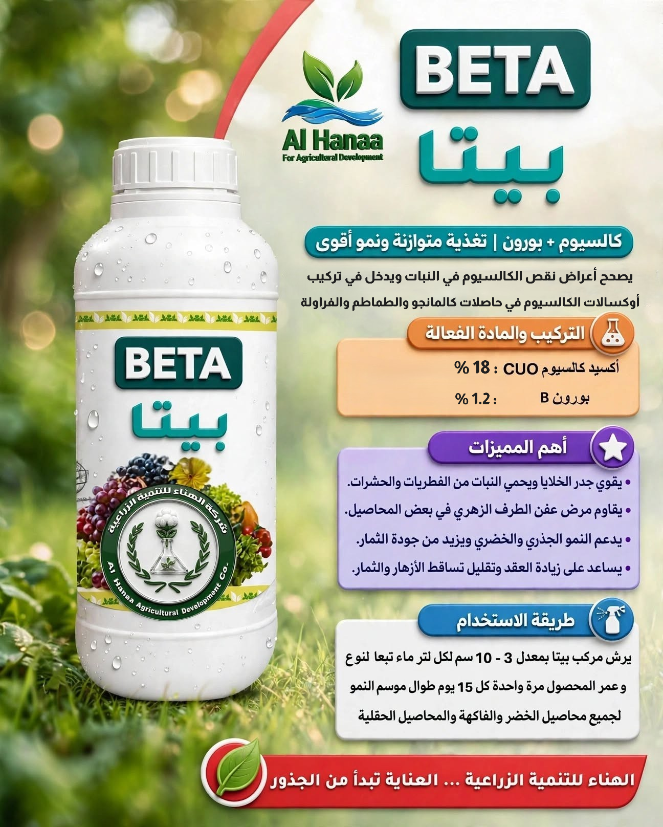 بيتا