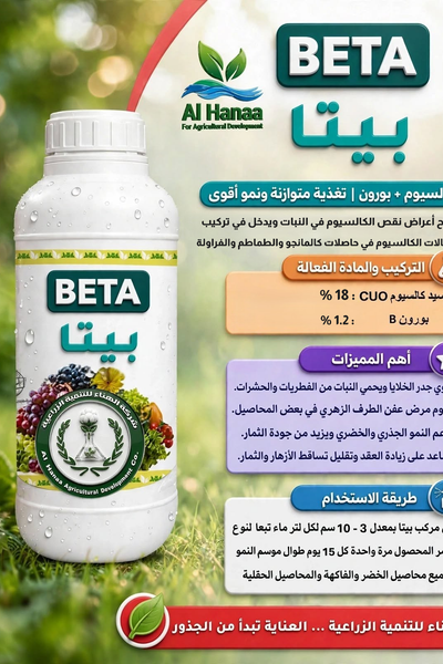 بيتا
