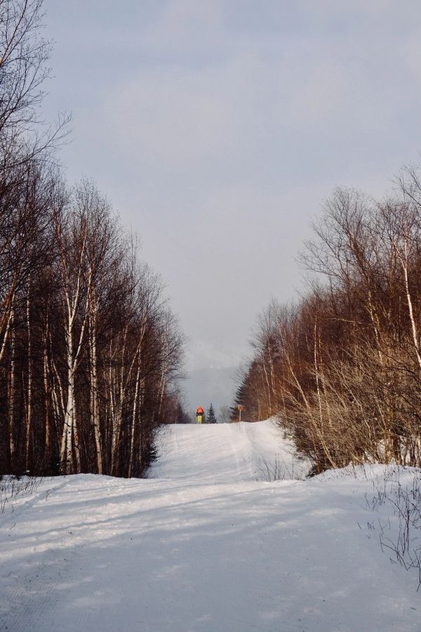 Avancer avec détermination