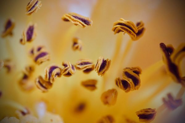 Silhouettes avec vision du collectif