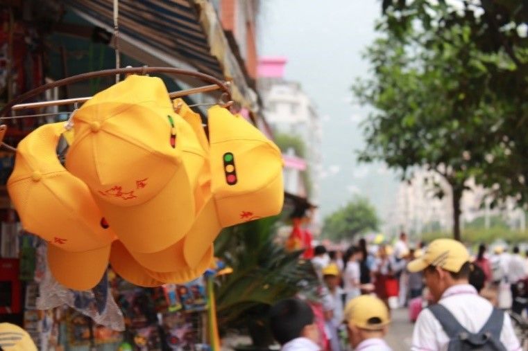 Exciting signs of sustainability for AIP Foundation’s Walk Wise program