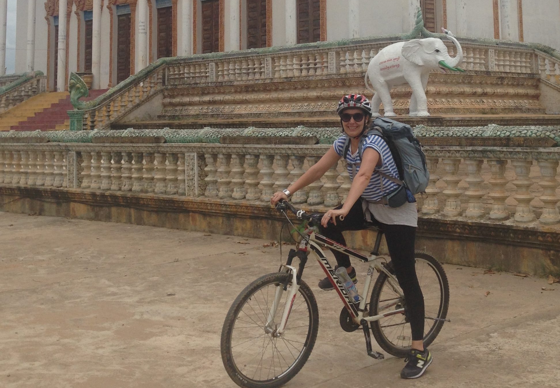 Louise Goldman joins AIP Foundation as part of the Australian Volunteers for International Development program to help build the capacities of our Phnom Penh staff in their advocacy and enforcement activities.