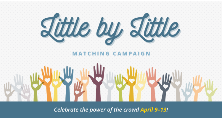 Donate to AIP Foundation through the Little by Little Matching Campaign.