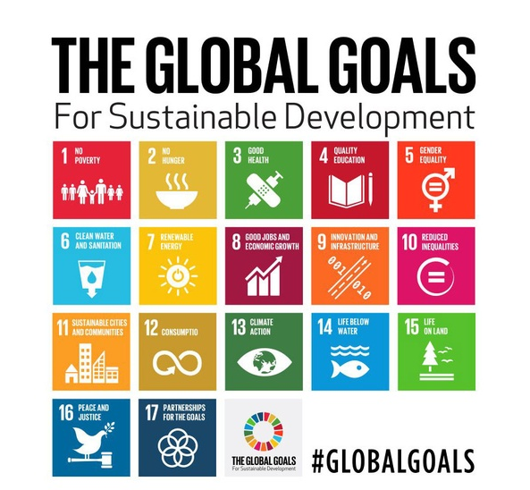 The UN set 17 goals with 169 targets overall for the world’s post-2015 development agenda.