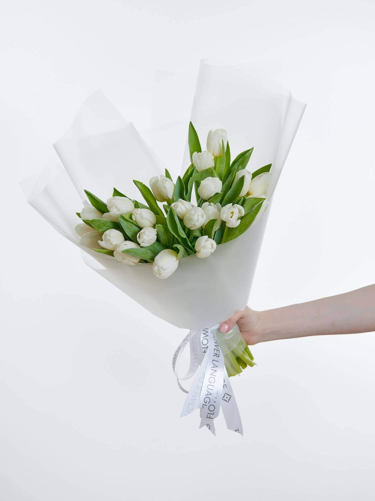 букет из 25 тюльпанов Antarctica