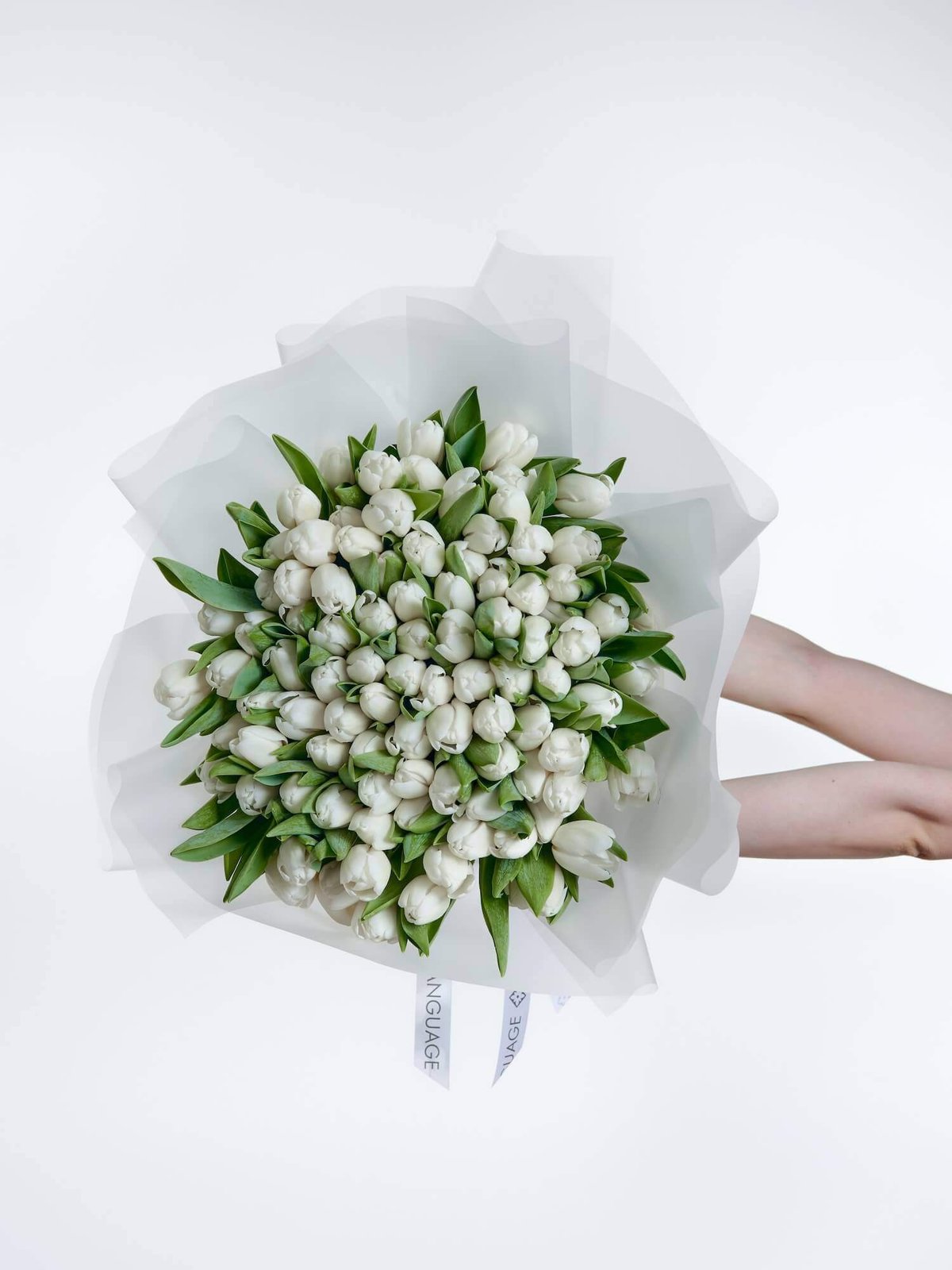 букет из 101 тюльпана Antarctica