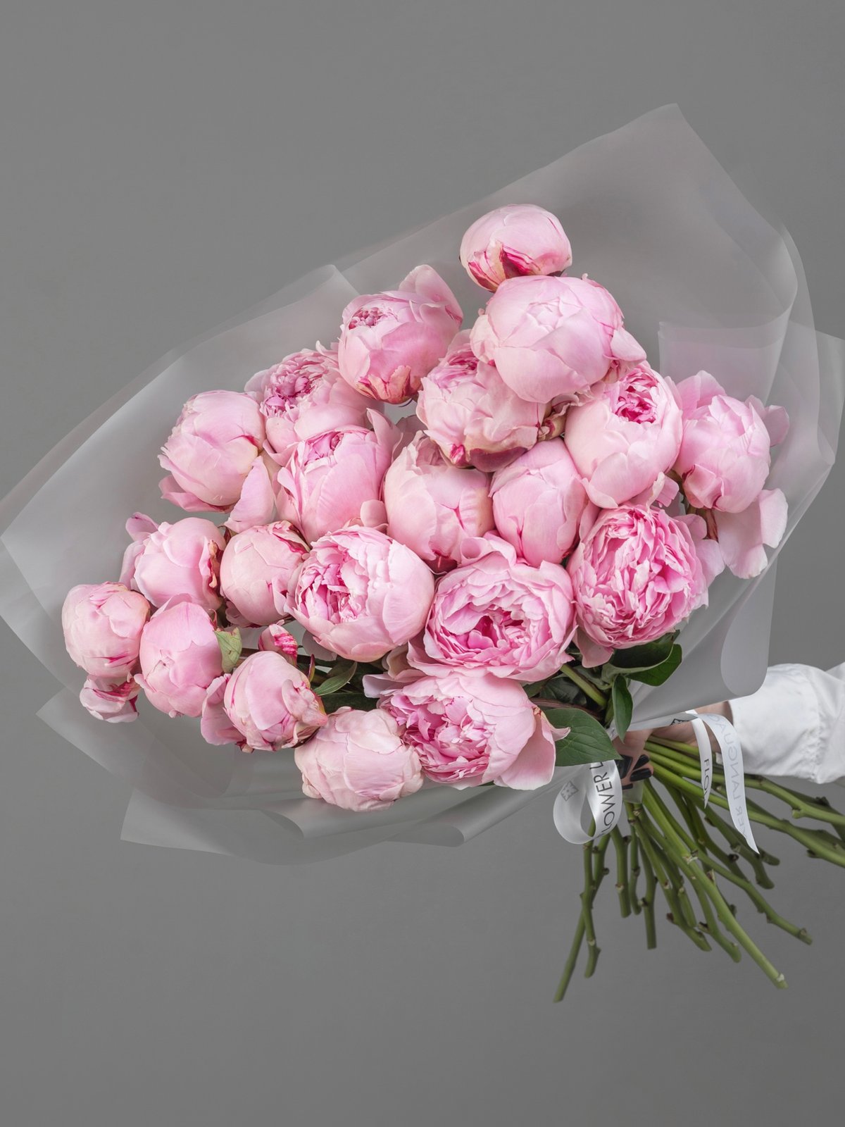 букет из 21 пиона Sarah Bernhardt