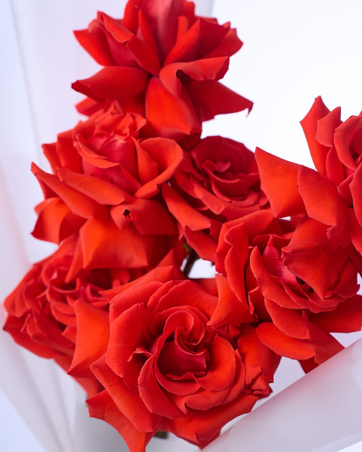 букет из 9 роз Nina