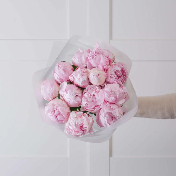 букет из 13 пионов Sarah Bernhardt — вид 2
