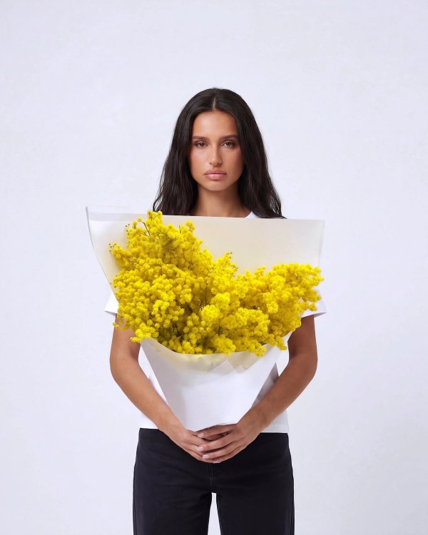 букет мимозы Yellow