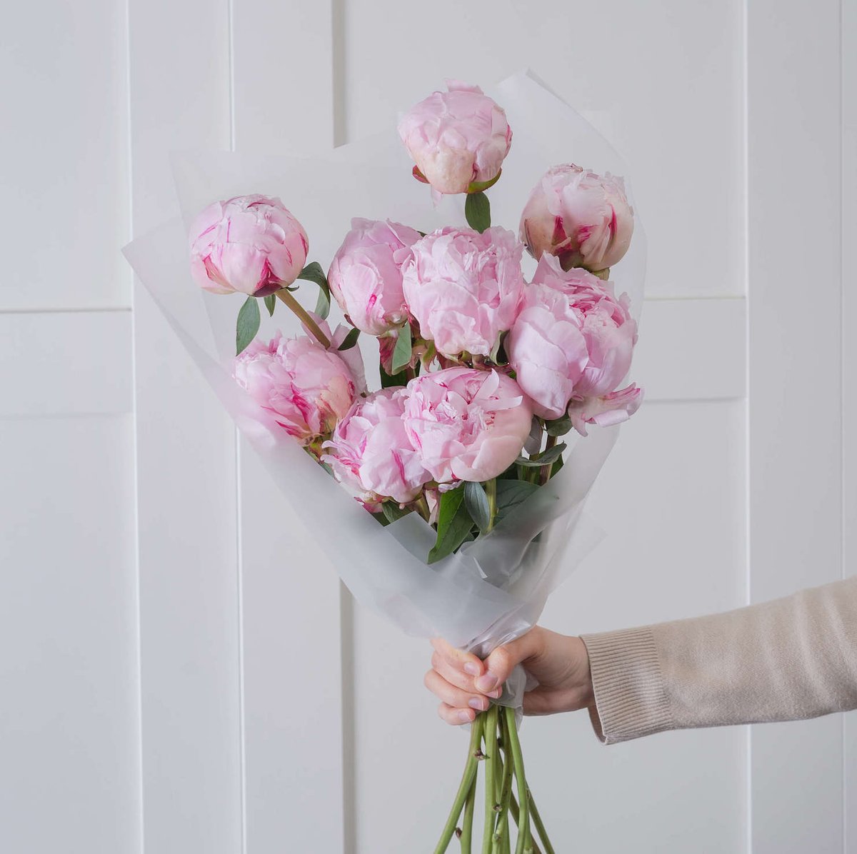 букет из 9 пионов Sarah Bernhardt