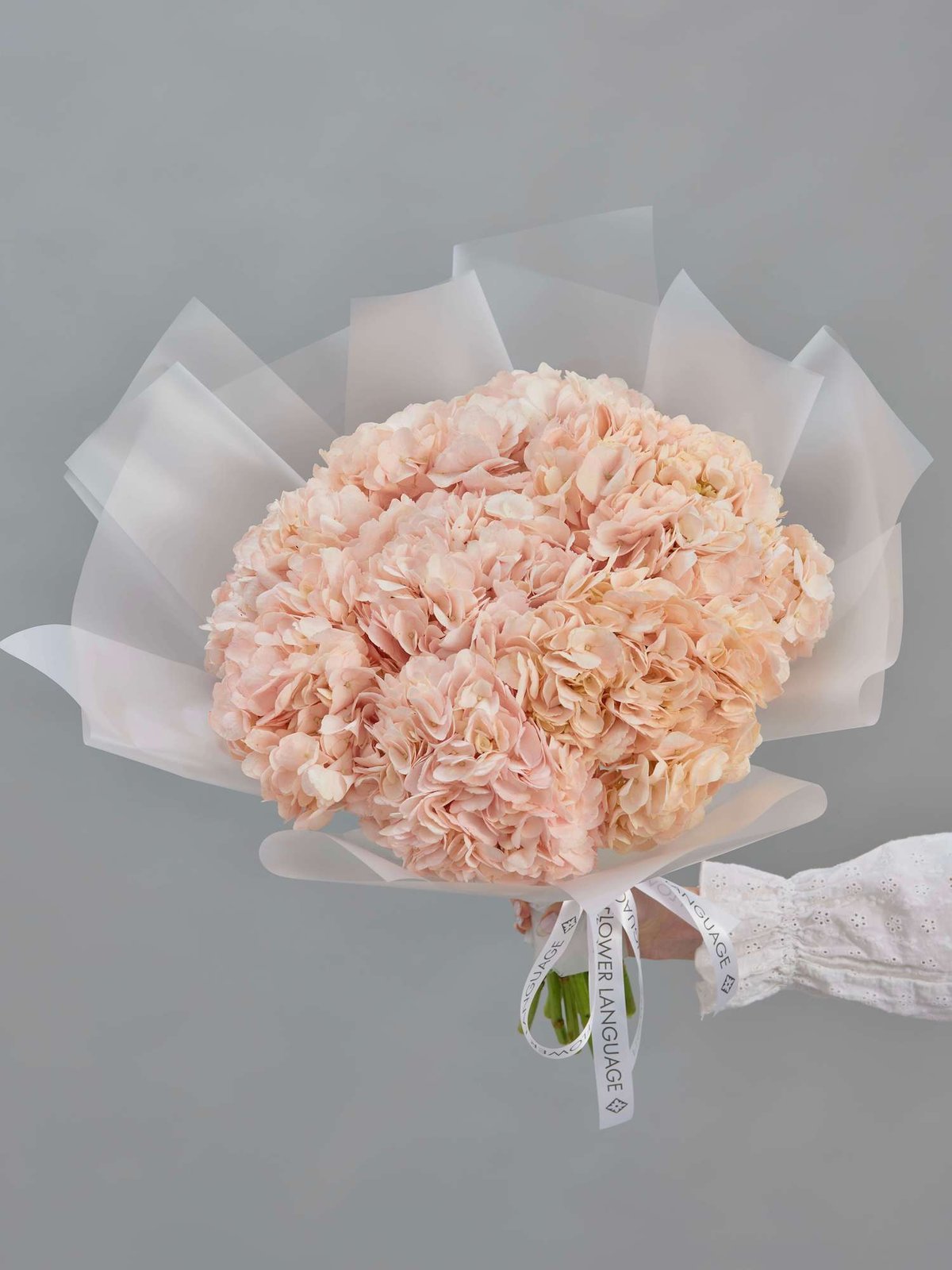 букет из гортензий Peach