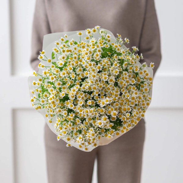 букет ромашек Chamomile (25)