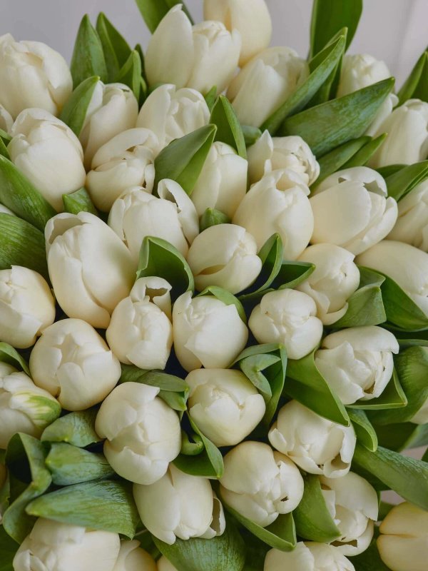 букет из 51 тюльпана Antarctica — вид 2