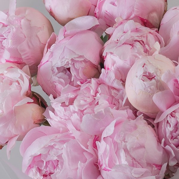 букет из 101 пиона Sarah Bernhardt — вид 2