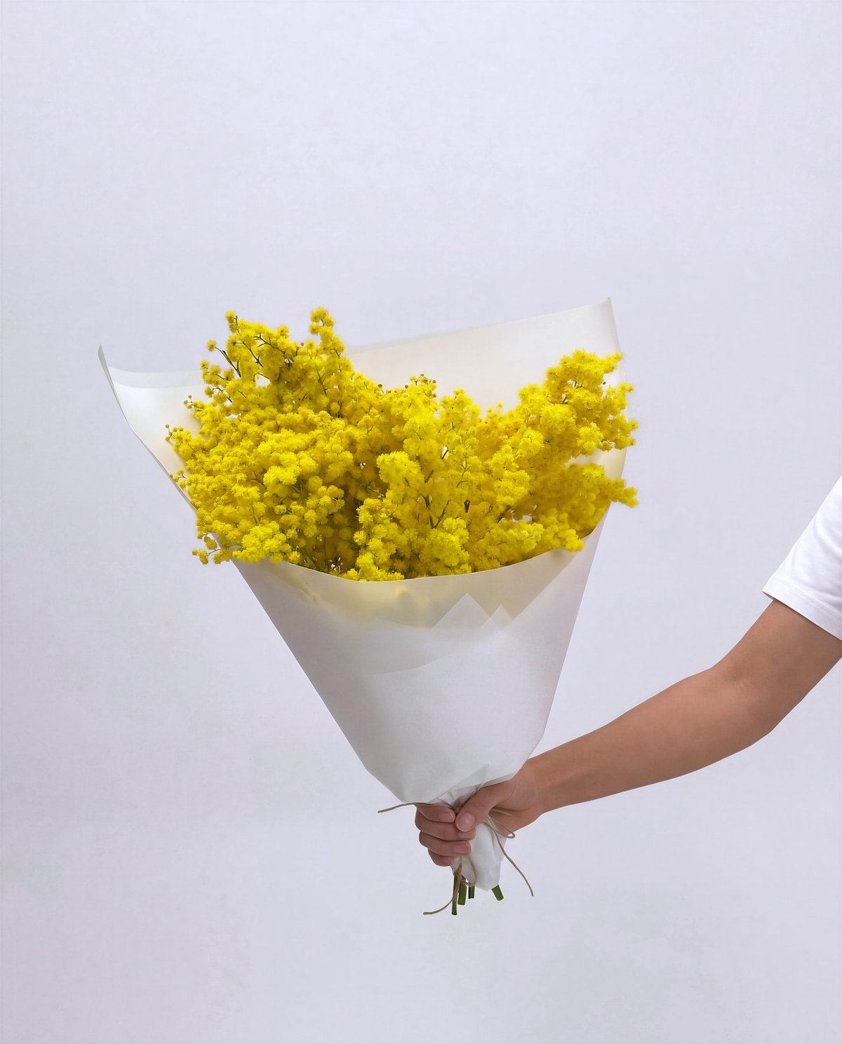 букет мимозы Yellow