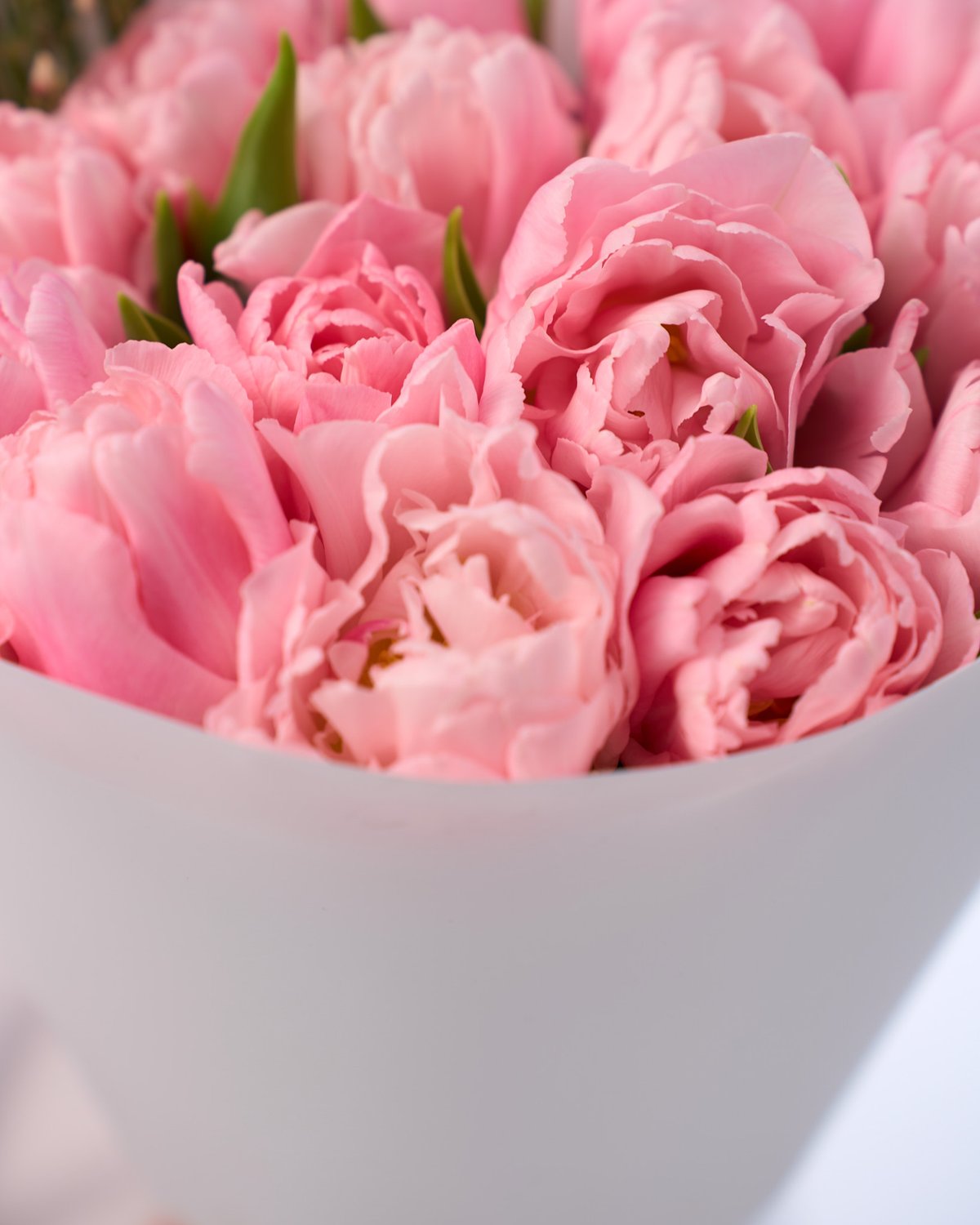 букет из 15 тюльпанов Pink