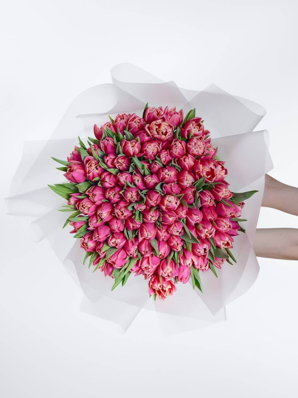 букет из 101 тюльпана Coral