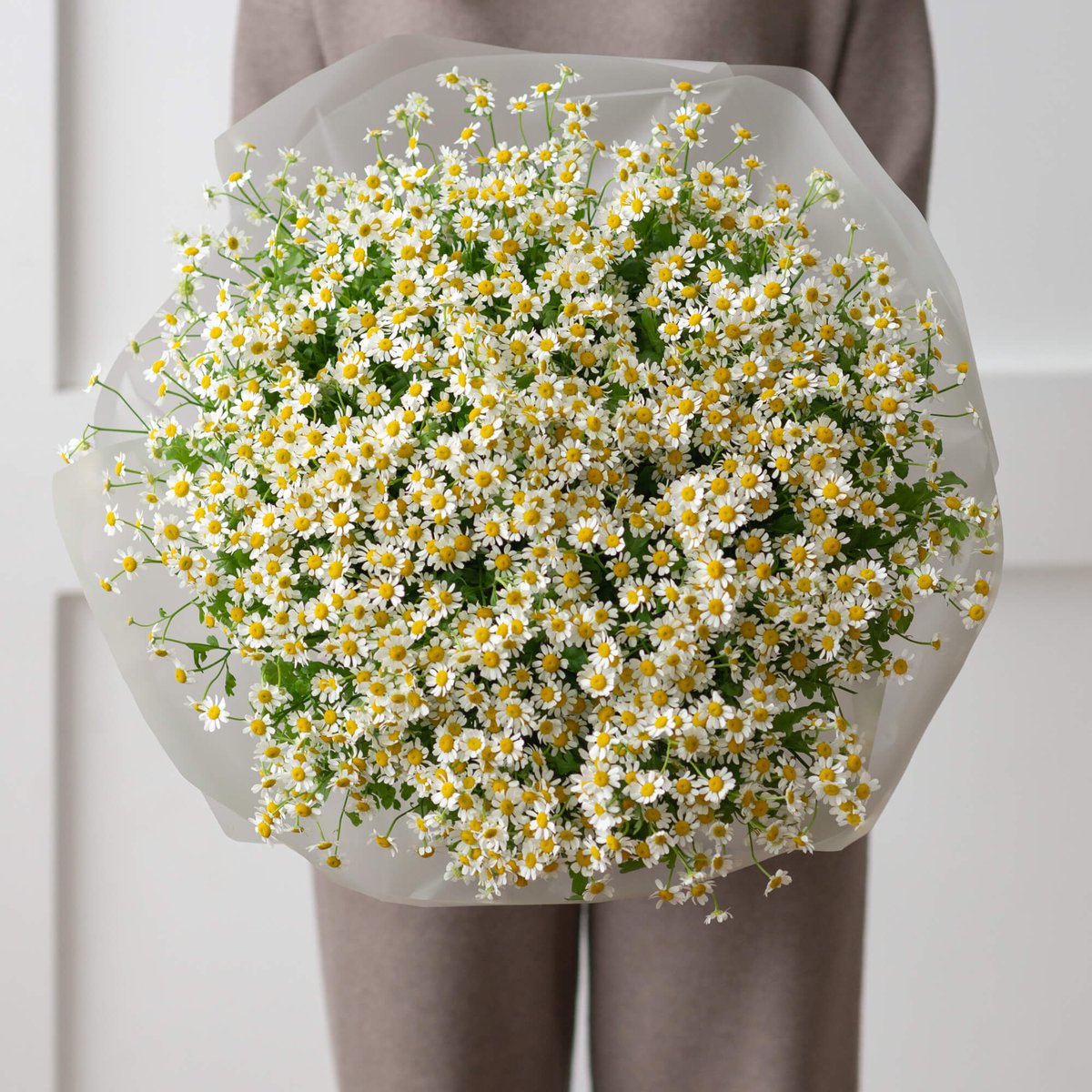 букет из 51 ромашки