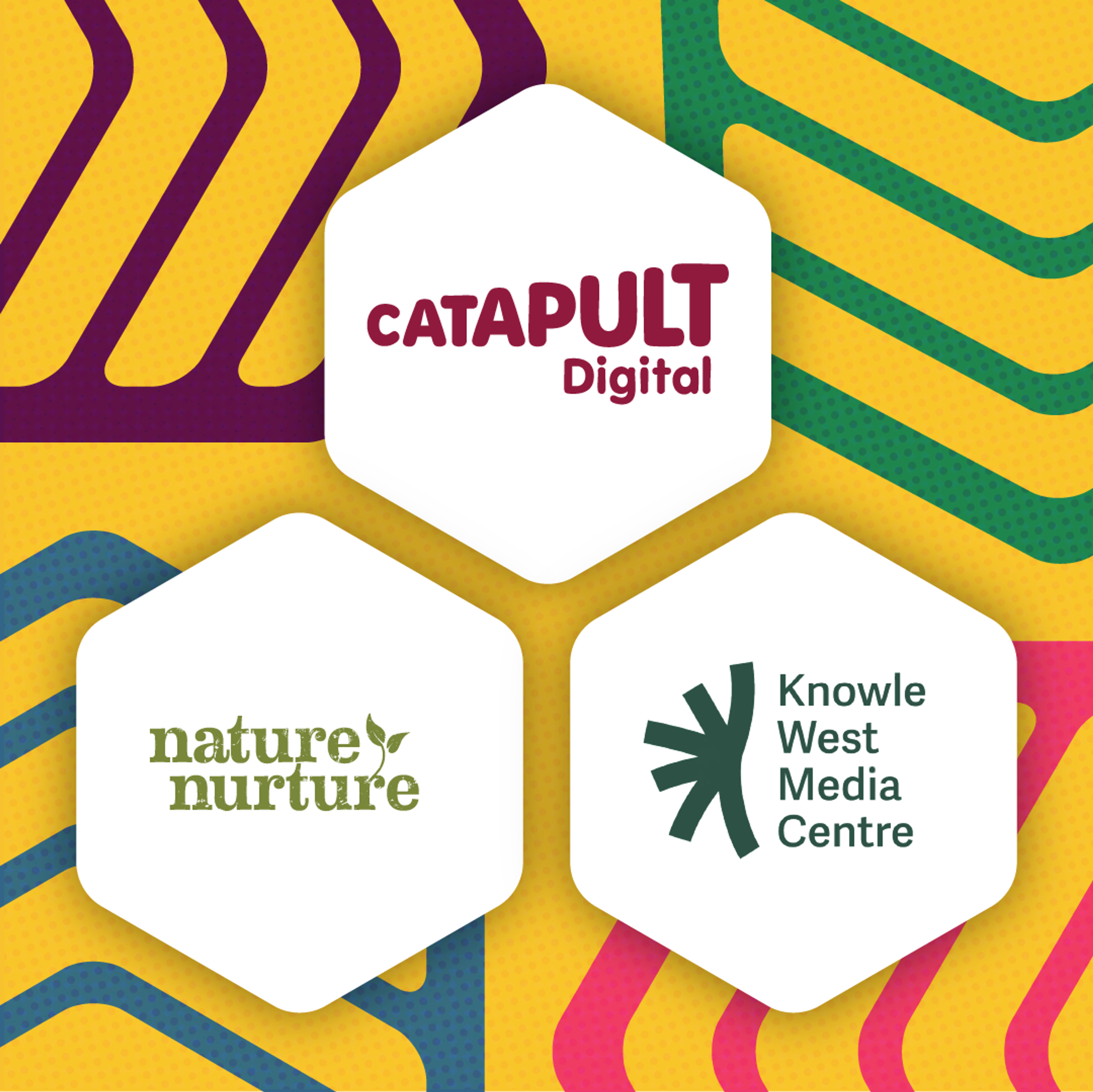 A yellow graphic with multi coloured Hive logos in the background. In the centre there are three white hexagons, one containing the red Catapult Digital logo, another displaying a green Nature Nurture logo and a dark green Knowle West Media Centre logo.