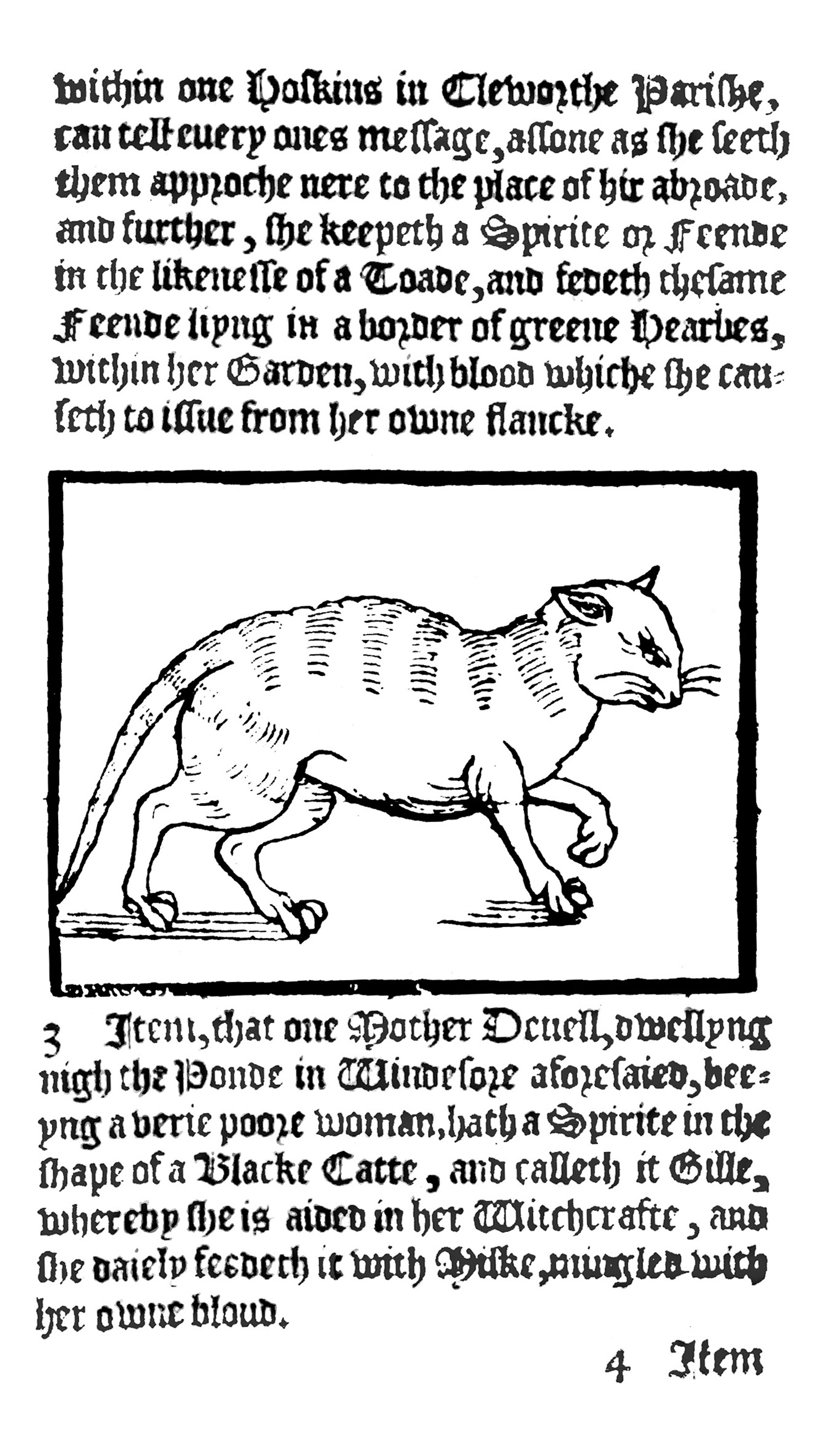 A page from A rehearsall both straung  and true, of hainous and horrible actes committed by Elizabeth Stile  published in 1579. It features a woodcut of a cat.
