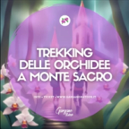 Escursione tra le orchidee spontanee del Gargano a Monte Sacro