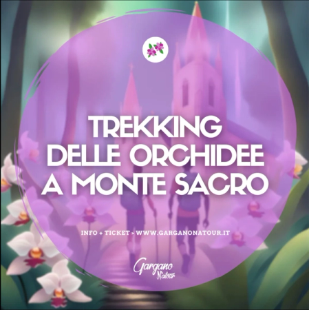 Escursione tra le orchidee spontanee del Gargano a Monte Sacro