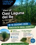 Raccolta degli Agretti all'Oasi Laguna del Re