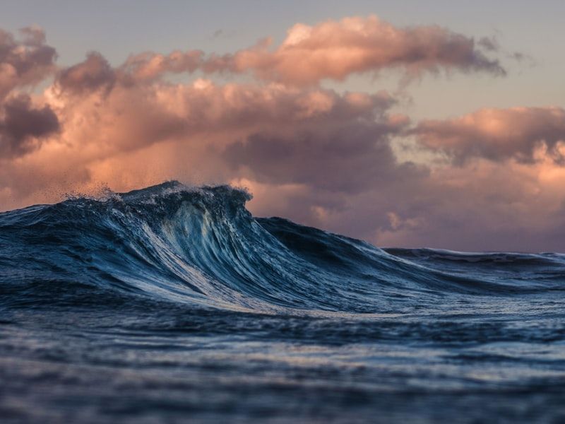 Escursione Isole Tremiti