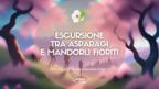 Escursione tra asparagi e mandorli fioriti | Trekking sul Gargano