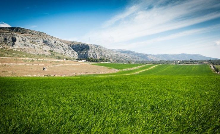 Escursione sul Gargano | Ciminiera Trail & Experience
