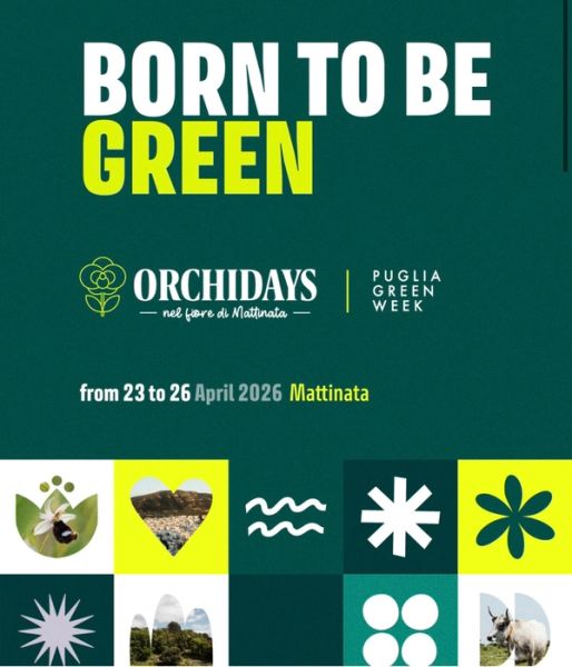 Orchidays | Mattinata