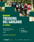 Trekking del Gargano Orchidays | escursione tra boschi e sentieri