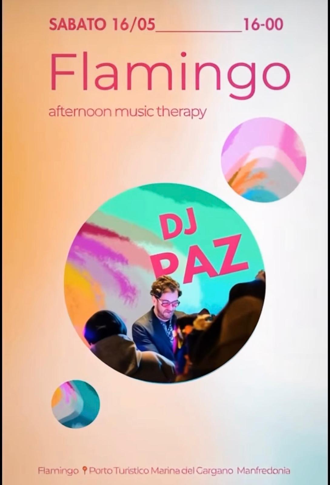 DJ Paz al Flamingo - music therapy