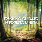 Trekking in Foresta Umbra con guida