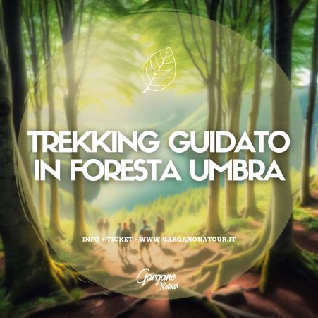 Trekking in Foresta Umbra con guida