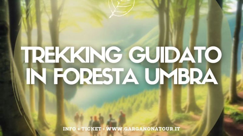 Trekking in Foresta Umbra con guida