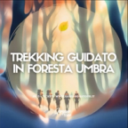 Escursione Trekking | Foresta Umbra