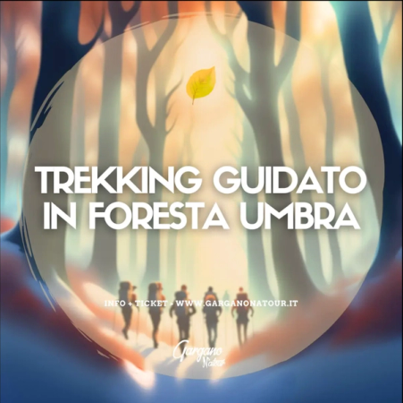 Escursione Trekking | Foresta Umbra