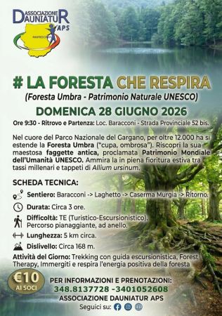 La Foresta che Respira – Trekking e Forest Therapy nella Foresta Umbra