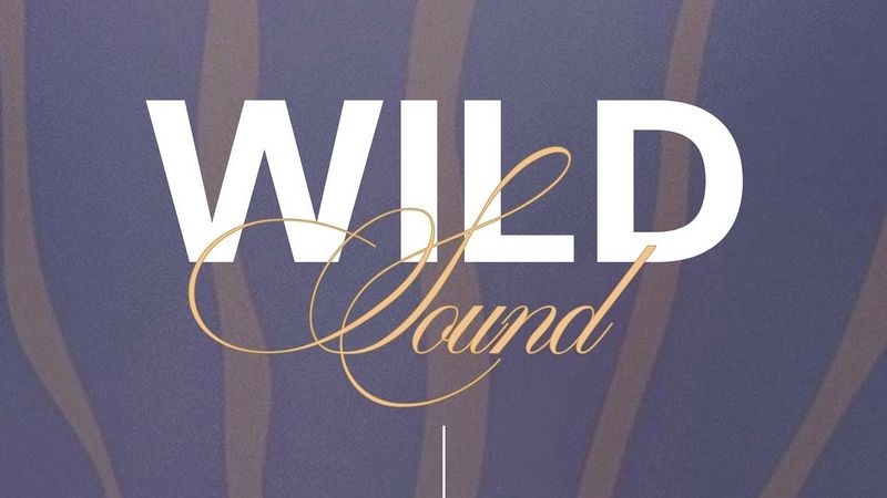 Wild Sound live | Calice Rosa