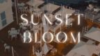 Sunset Bloom – Gianni Caiaffa | Origami Food & Sea