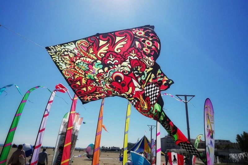 Festival dell’Aquilone e Saline | Margherita di Savoia