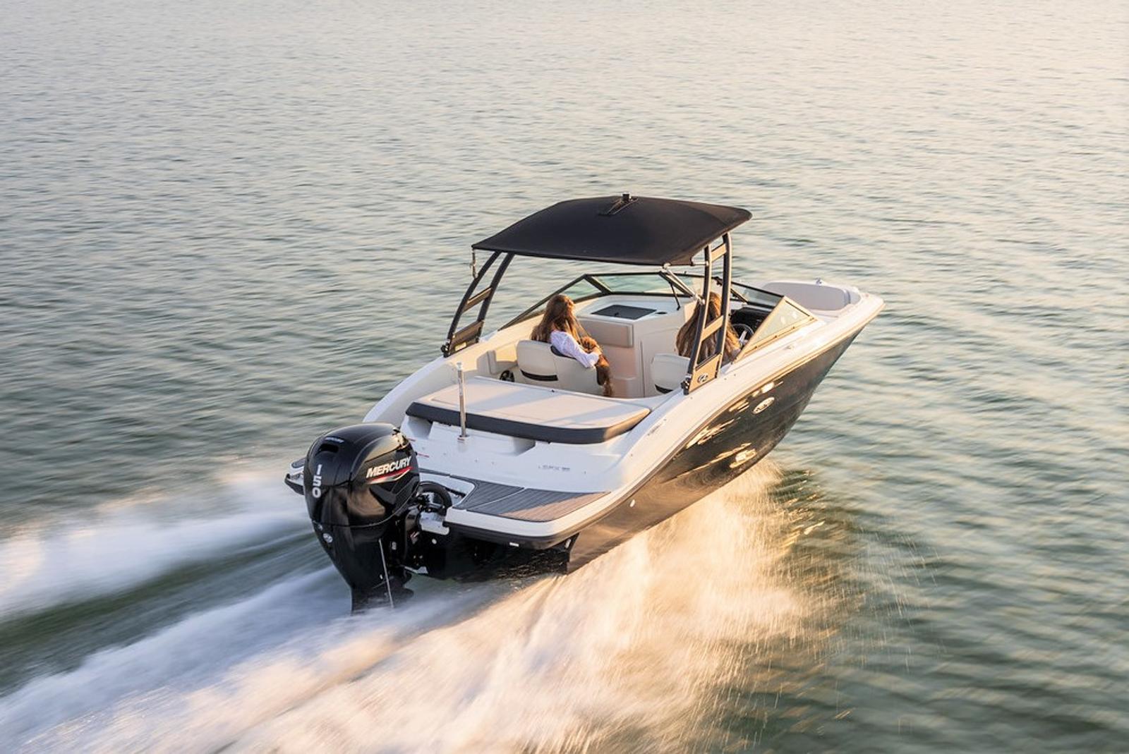 Sea Ray 190