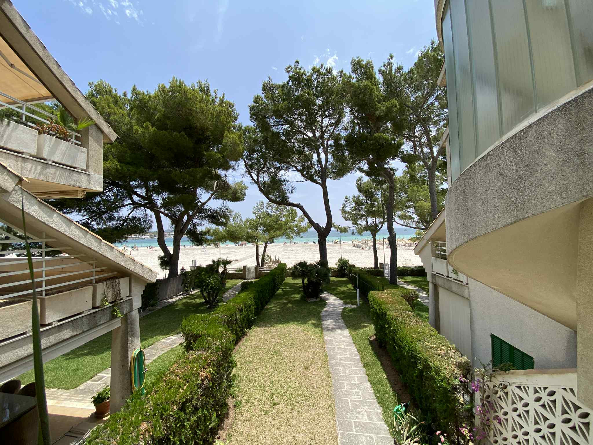 Modern Apartment by the Beach in Port d'Alcúdia – Sea and Palm Garden View