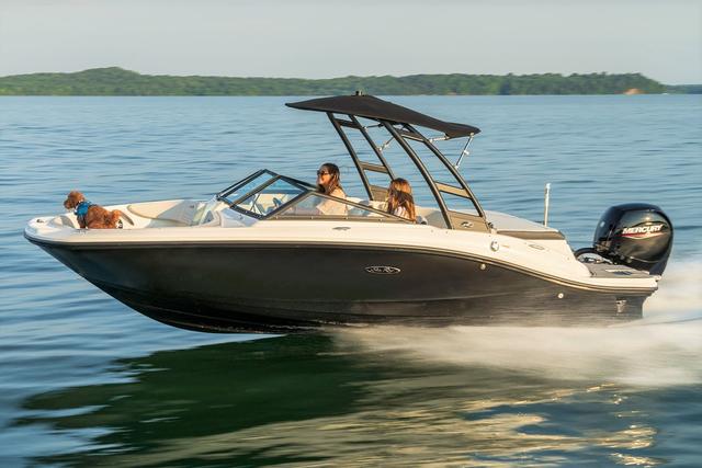 Sea Ray 190